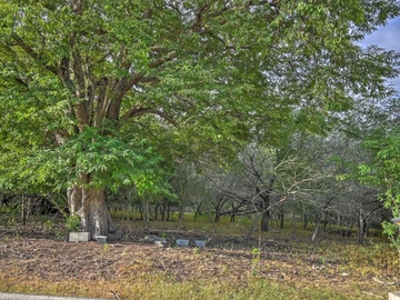 Residential Land