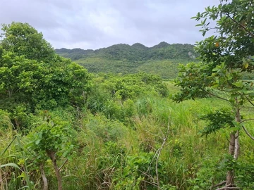 Agricultural Land