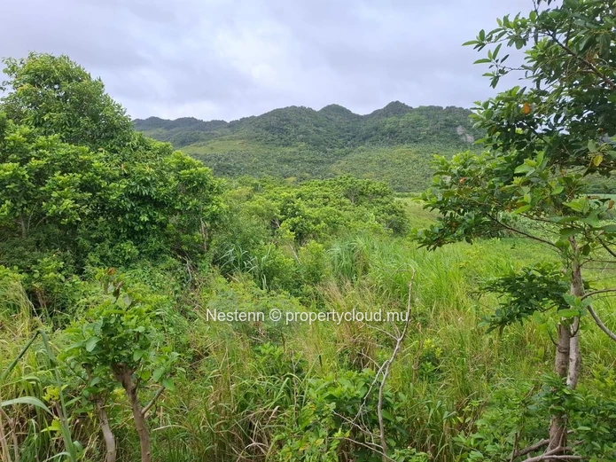 Agricultural land of 12,491.13 m², ideally located in the peaceful and green surroundings 