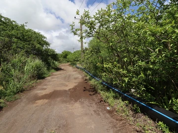 Agricultural Land