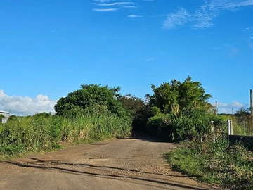 Agricultural Land
