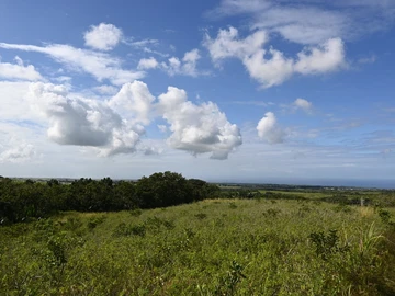 Agricultural Land