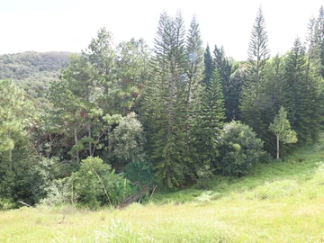 Commercial Land