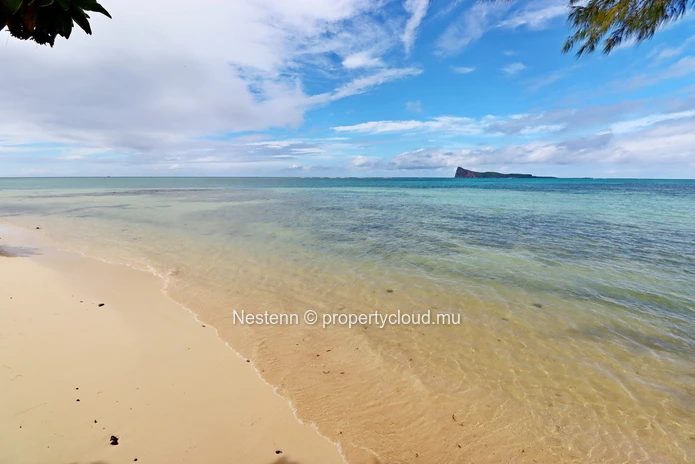 Vue mer imprenable & élégance tropicale