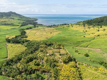 Residential Land