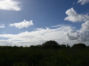 Agricultural Land