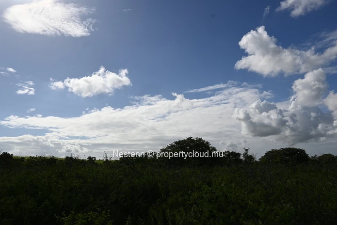 Agricultural land of 12,664 m² 