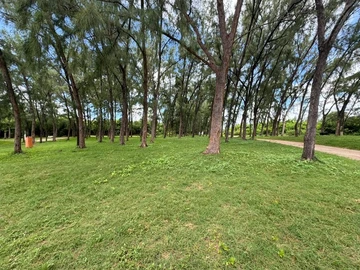 Agricultural Land