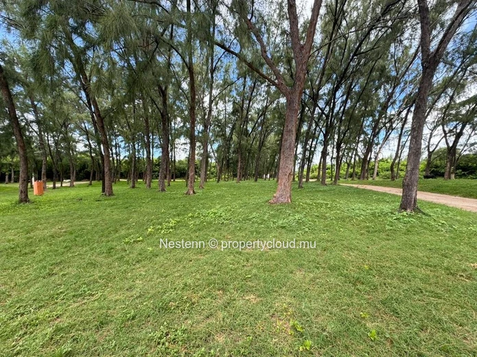 Beachfront Agricultural Land of 5813sqm