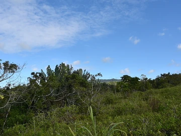 Agricultural Land