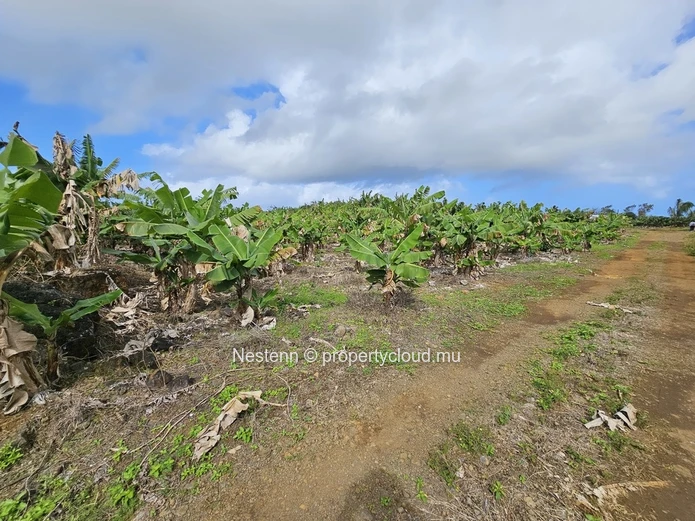 Terrain agricole de 8 146.10m² 
