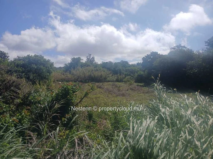 Spacious land offering 2325.5 m²