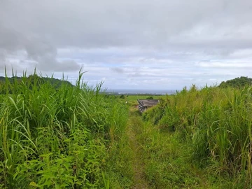 Agricultural Land