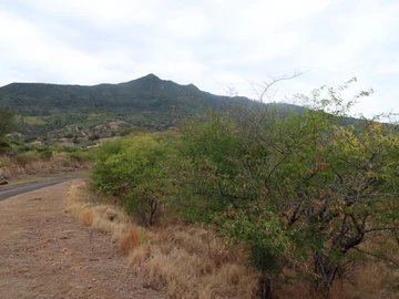 Residential Land