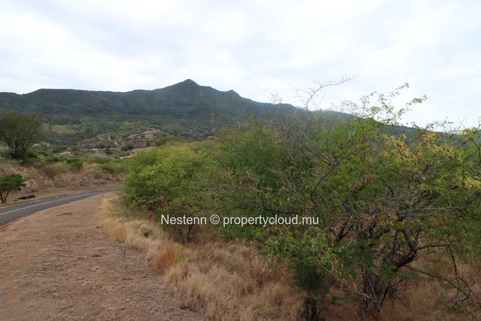 Exceptional Plot of 4227 m2 Domaine de Palmyre 