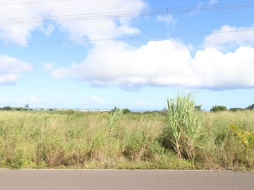 Residential Land
