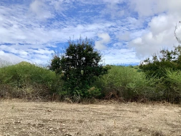 Residential Land