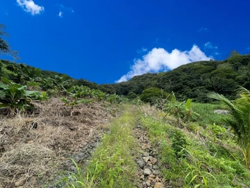 Agricultural Land