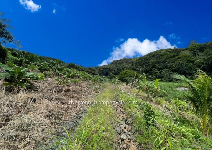 Serene 12 Acres agricultural land with mountain and sea views.