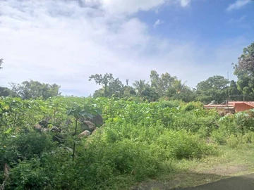 Residential Land