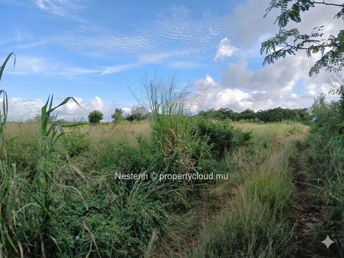 Idéalement situé, ce terrain agricole de 8 221 m² (194 perches)
