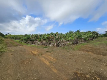 Agricultural Land
