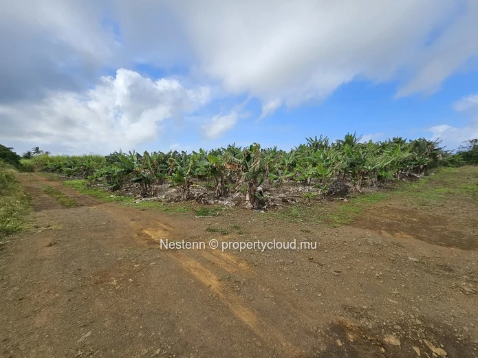 Terrain agricole de 8 146.10m² 