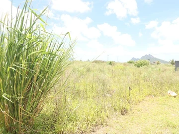 Residential Land