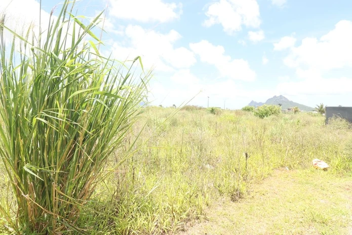 Terrain de 462.97 m²