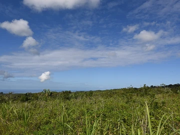 Agricultural Land