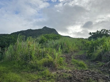 Agricultural Land
