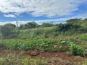 Residential Land
