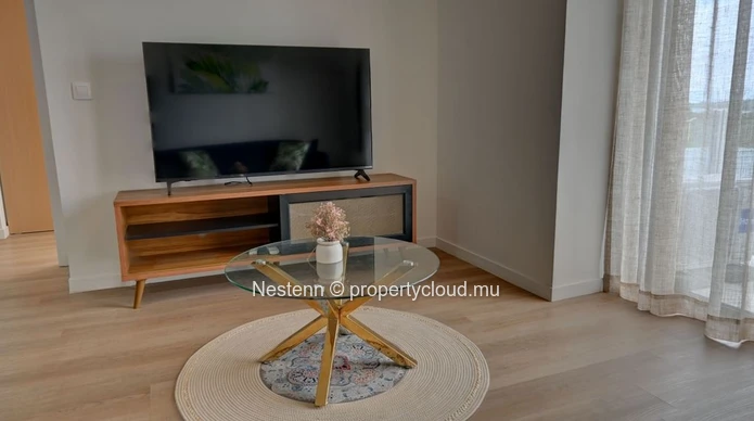 Magnifique appartement T3 meublé