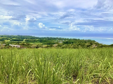 Agricultural Land