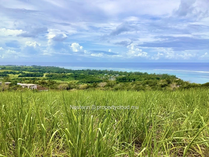 Land of 35,981 m2 with breathtaking views of the entire wild South, ideal for a real estate project.