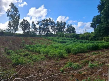 Agricultural Land