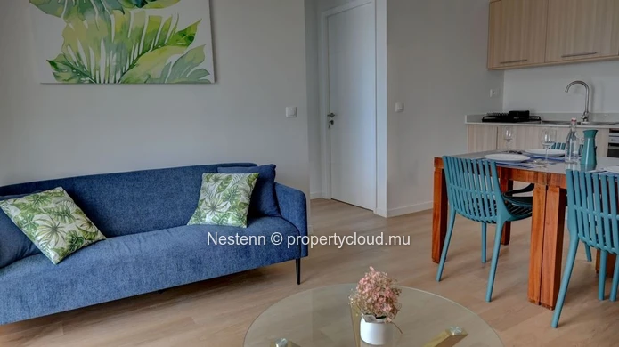 Magnifique appartement T3 meublé