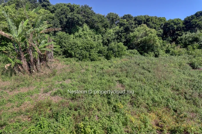 Agricultural land of 52 perches