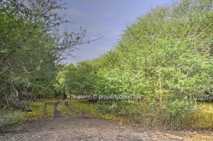 Terrain d'exception de 2 167,66 m² 