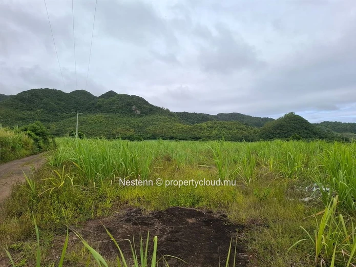 Agricultural land of 12,491.13 m², ideally located in the peaceful and green surroundings 