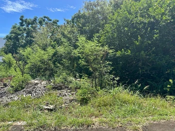 Residential Land