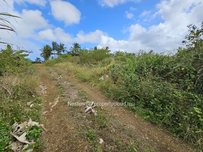 Terrain agricole de 8 146.10m² 