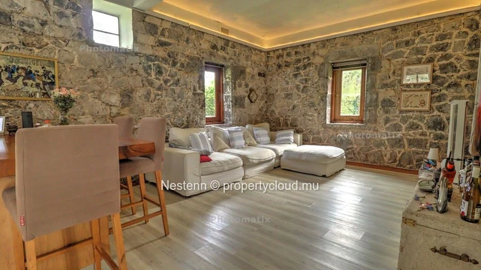 Stylish traditional house 