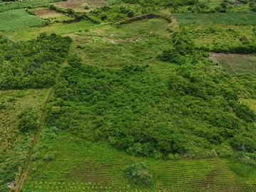 Agricultural Land