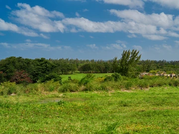 Residential Land