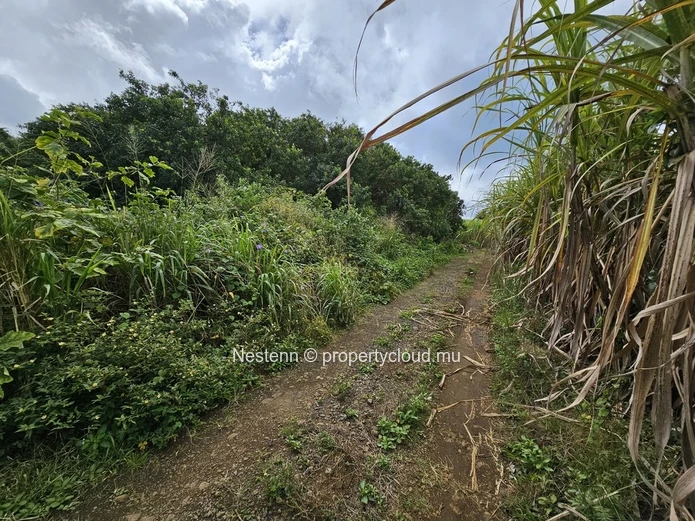 Terrain agricole de 8 146.10m² 