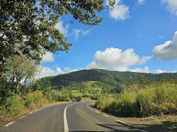 Agricultural Land