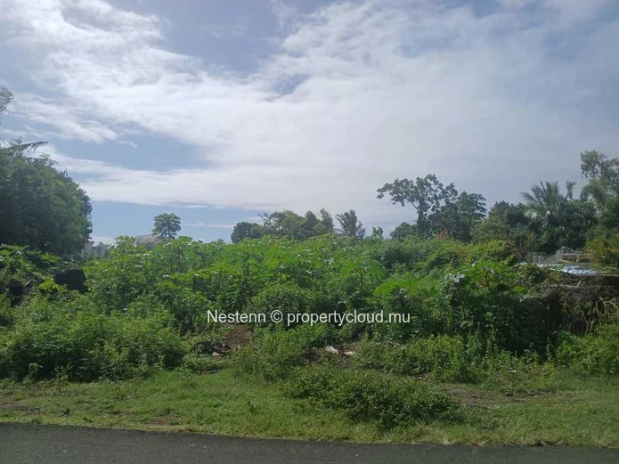 Grand terrain de 1266,26 m²