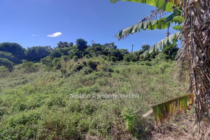 Agricultural land of 52 perches