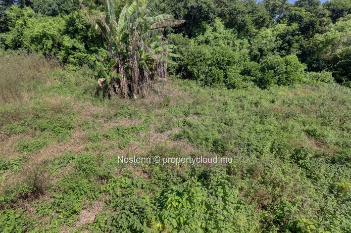 Agricultural land of 52 perches